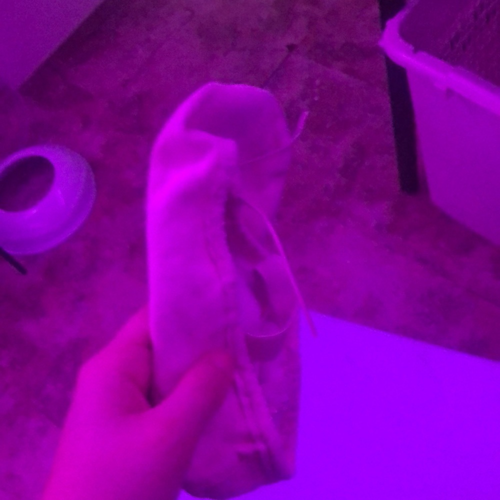 Ballet slippers